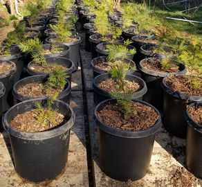 Tree planting training is starting!