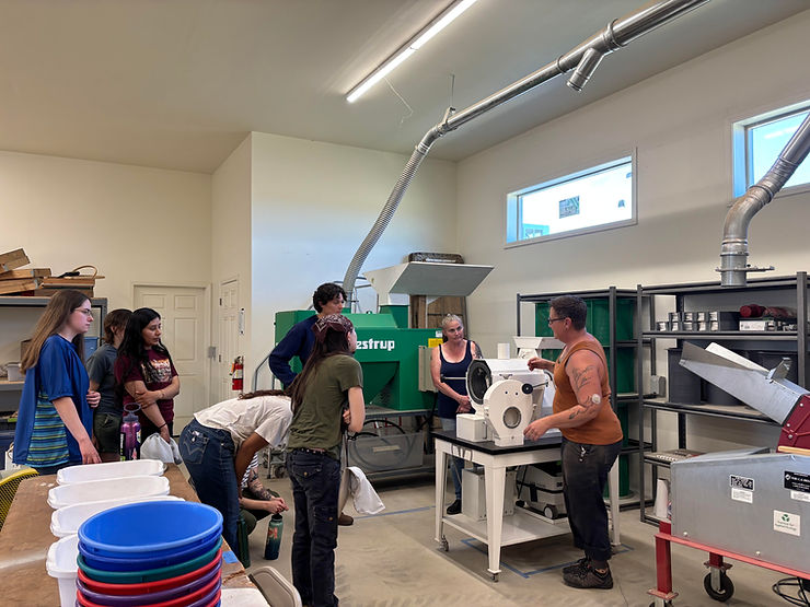 Elderberry Wisdom Farm Internship Update