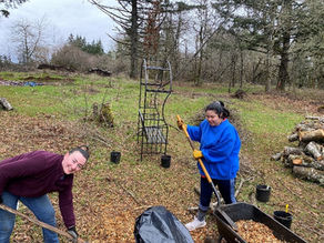 Invitation to Volunteers